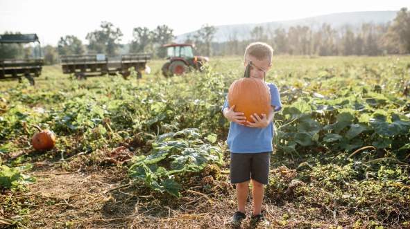 Top 5 Things to Do in Loudoun This Fall