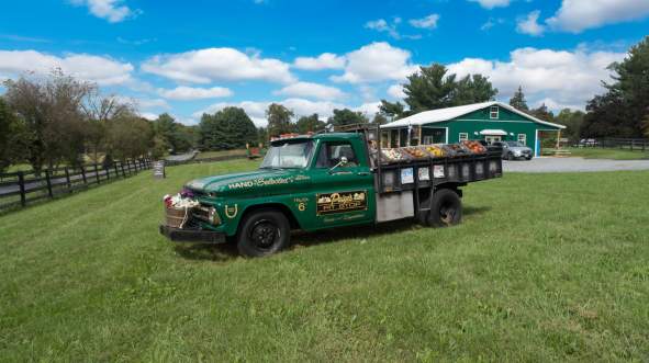 A vintage green pickup truck parked on a grassy field at Paige's Pitstop in Hamilton. The Truck is loaded with colorful produce, with a rustic barn in the background under a blue sky.