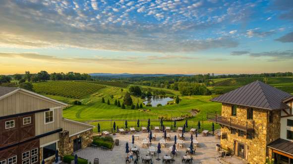 10 Things to Love About Loudoun Wine