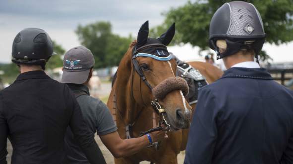 Horsing Around in Loudoun County