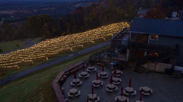 Bluemont Vineyard adorned with glowing lights at dusk, overlooking a patio with picnic tables and umbrellas, near a rustic building.