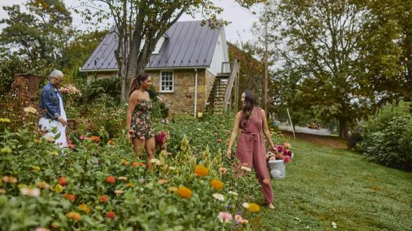 Three visitors picking zinnias and dahlias at a flower farm in Loudoun County, Virginia, with a historic stone building in the background