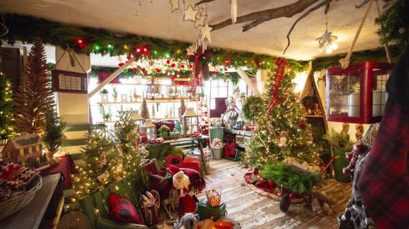 A cozy holiday-themed room at Lucketts Antique Store, filled with decorated Christmas trees, festive lights, and seasonal decorations, creating a warm and inviting atmosphere.