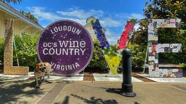 A Celebration of Loudoun Music & Art