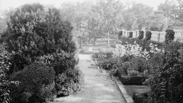 Gravel garden path bordered by manicured hedges and flowering plants at Oatlands Historic House & Gardens in Leesburg, Virginia.