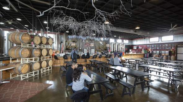 Interior of Vanish Farmwoods Brewery, a spacious venue featuring wooden barrels, long communal tables, and a decorative tree branch installation.