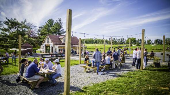 Celebrate Father's Day in Loudoun