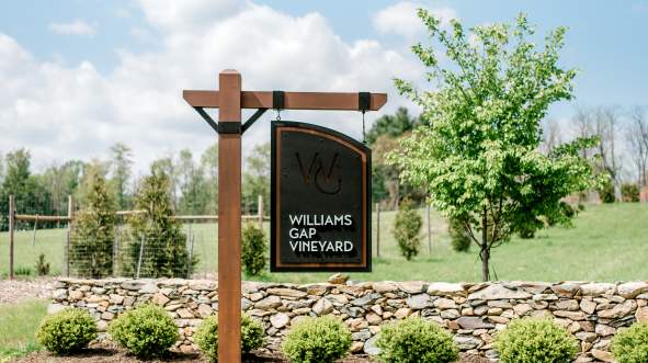 Entrance sign for Williams Gap Vineyard surrounded by stone wall and green grounds in Round Hill, Loudoun