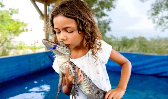 Girl holding and kissing baby alligator