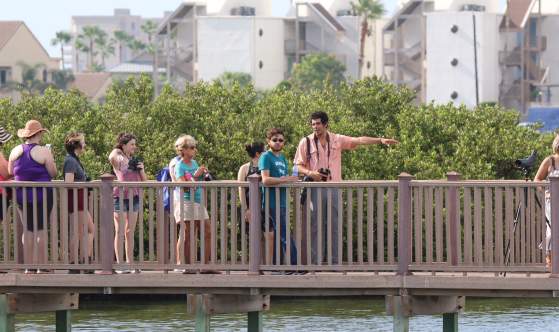 Birding-Tours