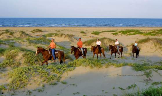 Ride Horses on the Beach