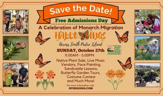 Hallowings Graphic Press Release