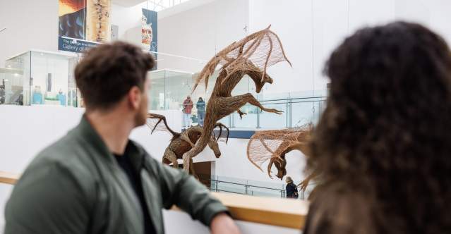 Arts Venues in Belfast