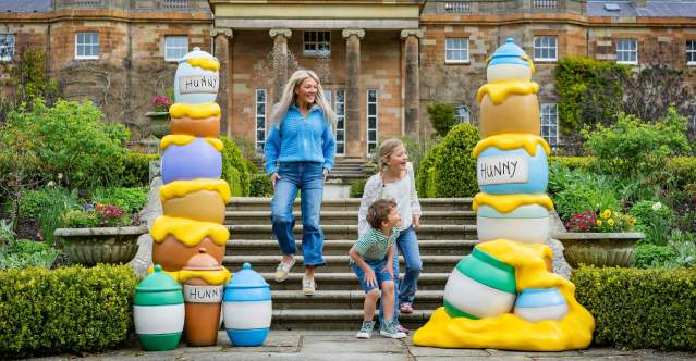 Hillsborough Winnie the Pooh