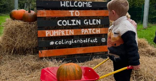 Best Pumpkin Patches in Belfast and Beyond