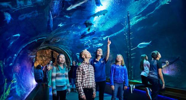 Wonders of Wildlife employee giving a tour