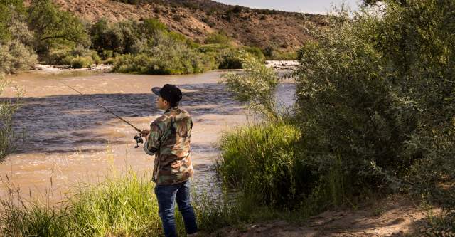A person stands on the bank of a river, surrounded by green shrubbery while casting a fishing line into the river