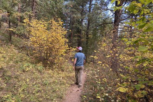 Long Canyon Trail in Boulder in fall with a man standing on the trail looking at the yellow leaves on trees