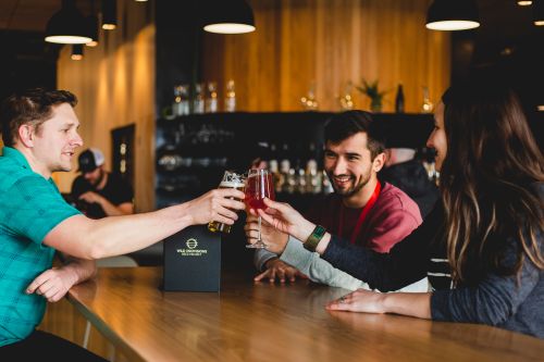 Wild Provisions Brewery Group of Friends Toasting with Beer