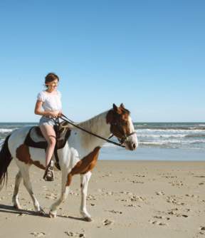 Horseback Riding OBX