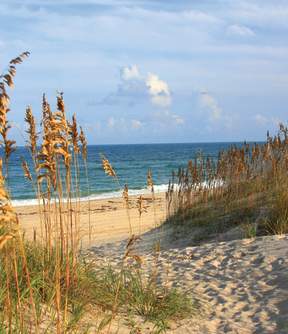 coquina beach - beauty shot