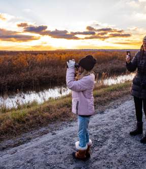 bird watching sunset winter fall