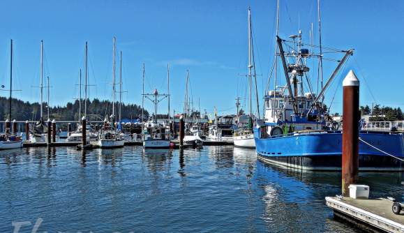 A Guide to Fishing in Florence, Oregon