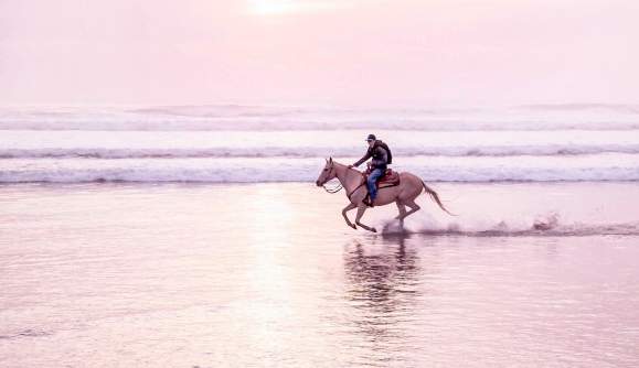 Horseback Riding in Florence, Oregon | Beach and Trail Rides
