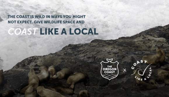 Coast Like a Local this Spring - Give Wildlife Space!