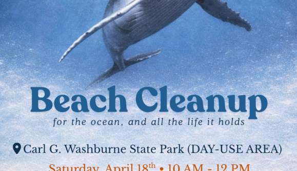 Beach Cleanup at Day Use Area - Carl G Washburne State Park