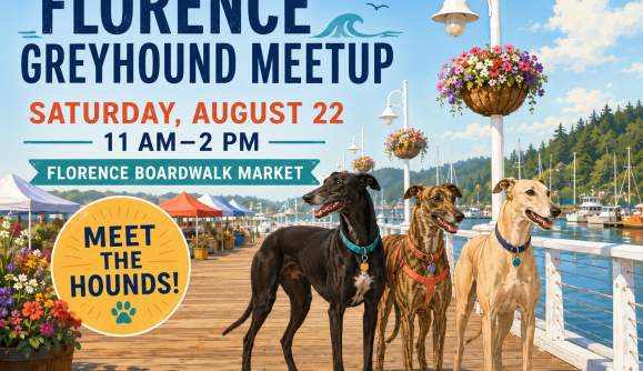 Greyhound Meetup