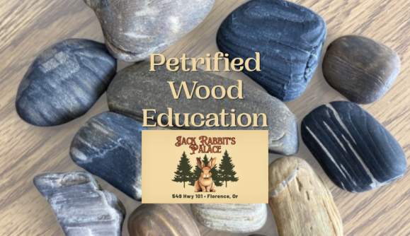 Central Coast Petrified Wood