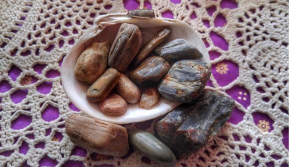 "Central Coast Petrified Wood"  with Debbie Anne