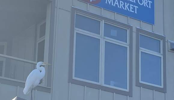 Wine Tasting at Bridgeport Market