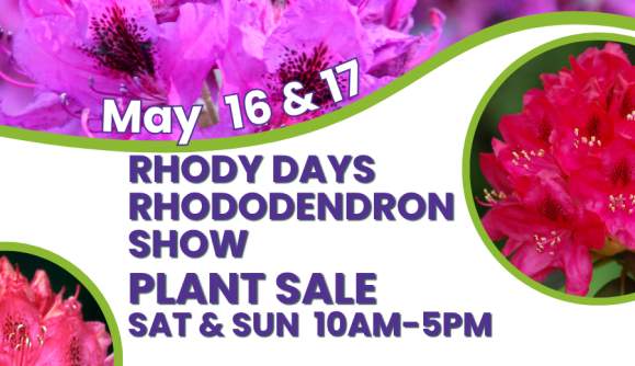 Rhododendron Show & Sale