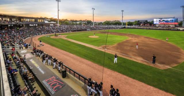 Fayetteville Woodpeckers Baseball: Bark in the Park