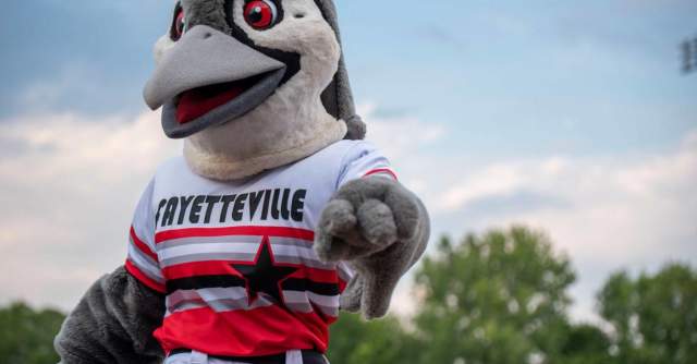 Fayetteville Woodpeckers Baseball: Princess Day & Sunday Funday