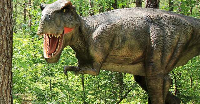 Sweet Valley Ranch's Dinosaur World