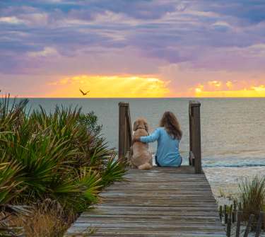 A woman and her dog sit on a boardwalk watching the sunset over the Gulf of Mexico