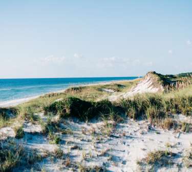 towering natural dunes with lots of sea oats covering the sand and gulf of mexico in the background