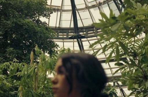 greenhouse