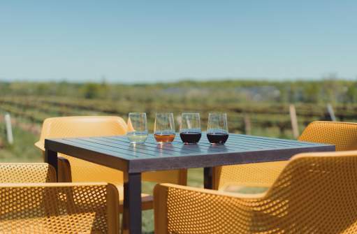 Wine tasting cups