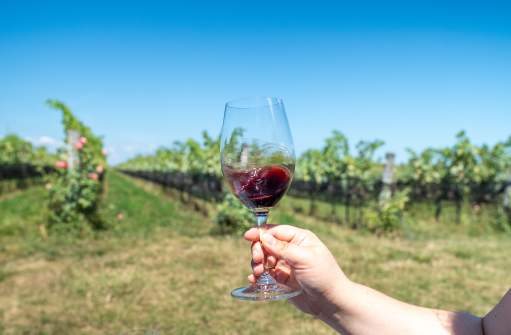 Wine glass