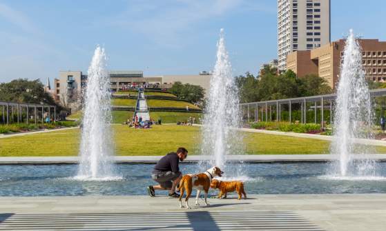 McGovern Centennial Gardens