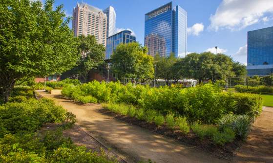 Discovery Green
