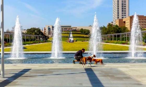 Hermann Park McGovern Centennial Garden