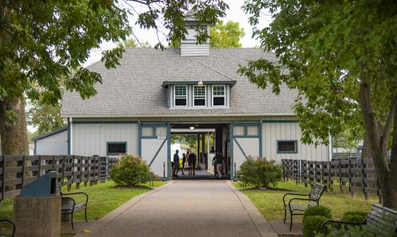International Museum of the Horse - Lexington, KY - VisitLex