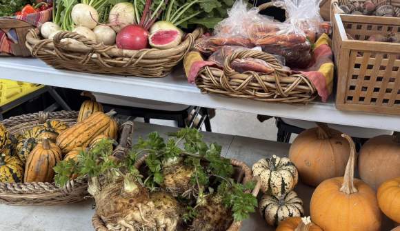 Visit Manitowoc to Manage Winter and Night Markets