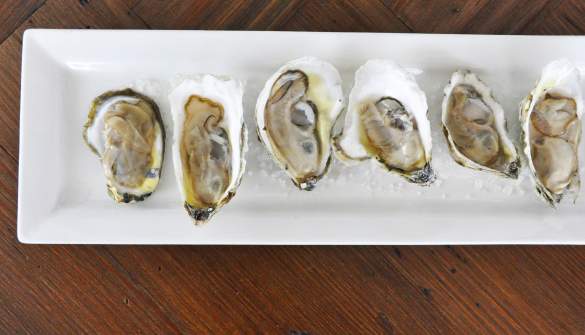 Eat Your Way Along the NC Oyster Trail