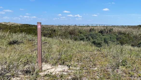 Great Outer Banks Hikes